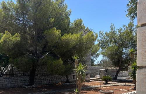 Terra Mani stone rental apartments - Foto 28