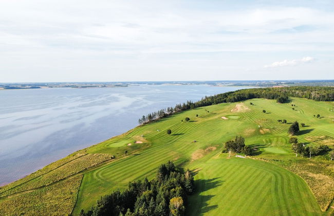 Wild Pines Cabins - Photo 15