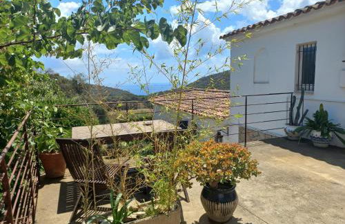 ESTUDIO RENOVADO CON BALCON PRIVADO Y COCINA vistas al mar TAMARIU y BEGUR - Foto 2