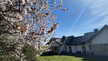 Agroturystyka Dom Skowronek - Foto 5