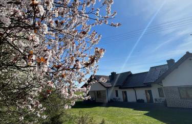 Agroturystyka Dom Skowronek - Foto 5