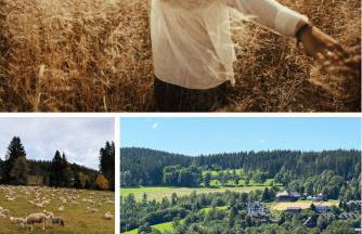 BergOase-Apart am Feldberg - Foto 38