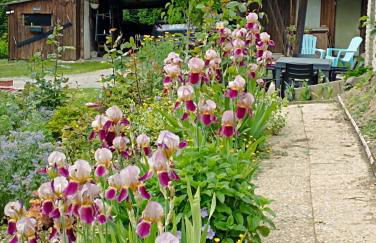 Gîte l'Olivianne - Foto 39