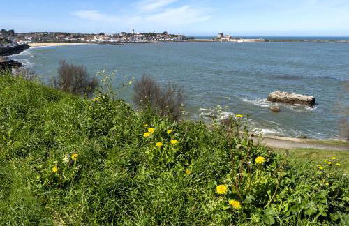 Appartement Urrugne - Foto 20