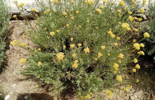 Apartman MAKA - Photo 42