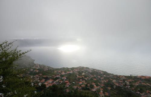 Lazy Lizard by the Ocean - Foto 64