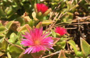 El Mirador - Foto 20