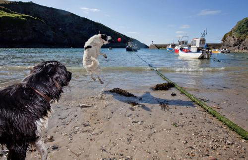 3 Bed in St. Breward oc-g28144 - Foto 33