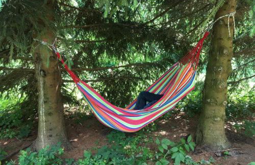 Domek Myśliwski Las Vegas - Foto 36