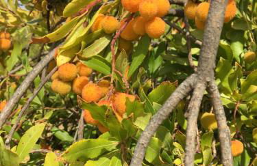 Your Vintage Townhouse - Foto 57