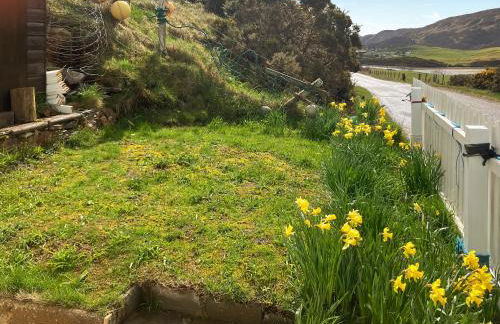 The Captains - Foto 9