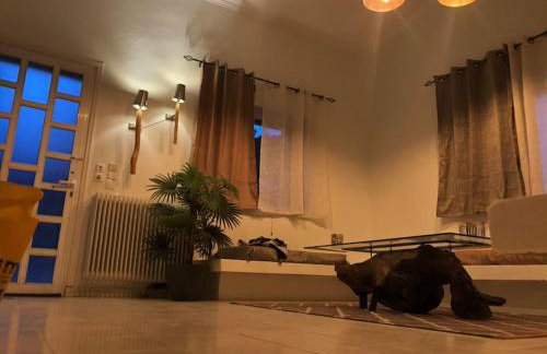 Villa Anastasia! in STROFYLIA pine FOREST!!! - Foto 42