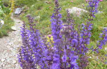 Skis aux pieds station 1600 Sun Vallée - Foto 76