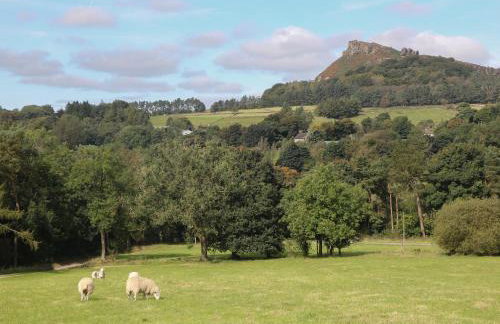 Stoney Cliffe Farm - Photo 40