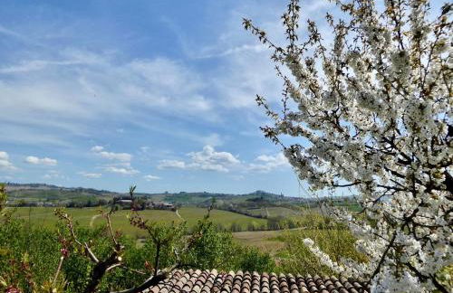 Langhe Apartment in Bottega di Rosanna - Foto 80