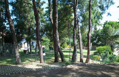 VILLA AUREA with private pool and park - Photo 30