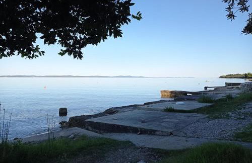 Apartments Pero - Foto 18