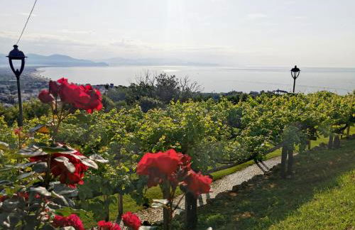 Tiny Circe house - alloggio turistico - Foto 27