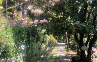 Il Pioppo Antico - Photo 44