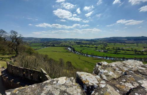 3 Bed in Llanllwni 91447 - Foto 33