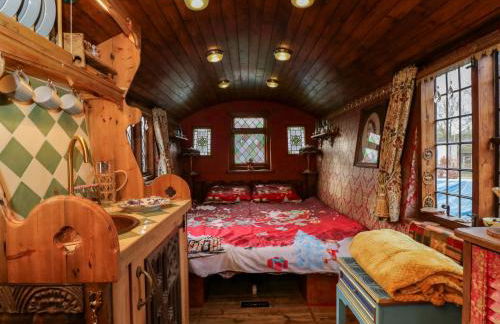 The Gypsy Caravan - Foto 15