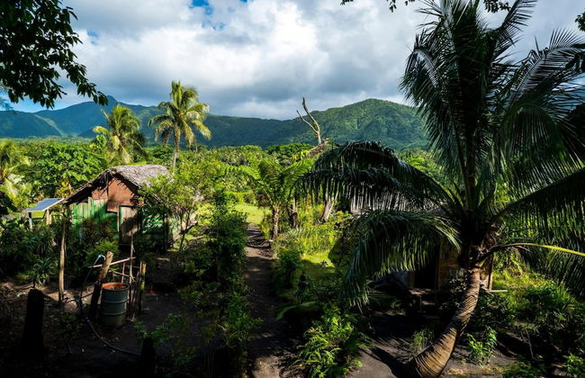 Castle Tree House - Photo 40