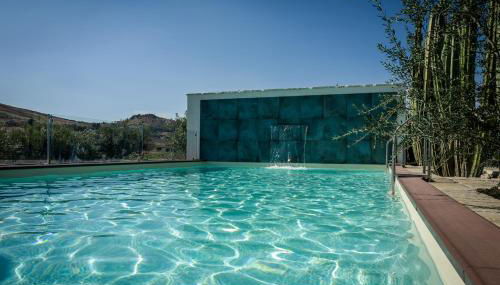 Garden Cactus - Foto 5