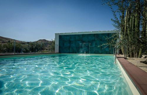 Garden Cactus - Foto 5