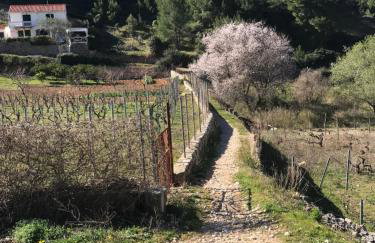 Stiniva beach house - Foto 23