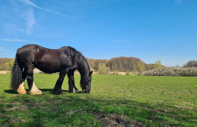 Retreat With Garden & Family Amenities - Foto 18