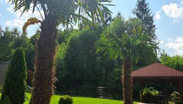 Dom na polanie - Foto 2