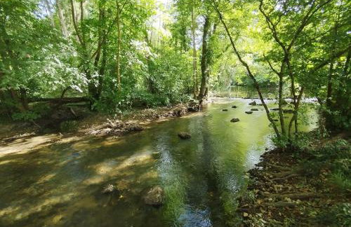 Les Studios Grenouilles - Foto 25