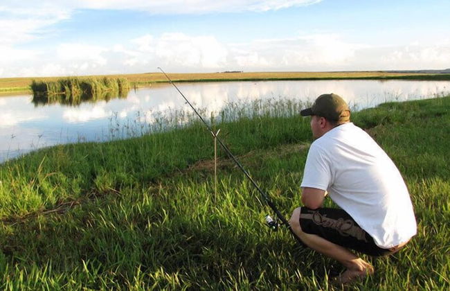 Francolin Creek - Foto 25