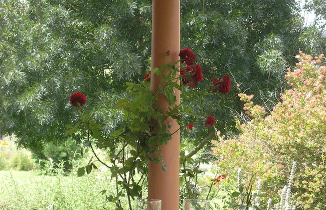 Old Bara Guesthouse - Photo 18