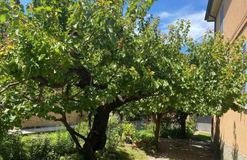 House Bologna Stazione Mazzini flat x 2 - Foto 26