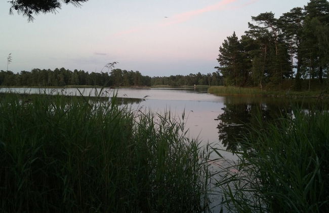 Well-equipped Beachside Cottage - Foto 41