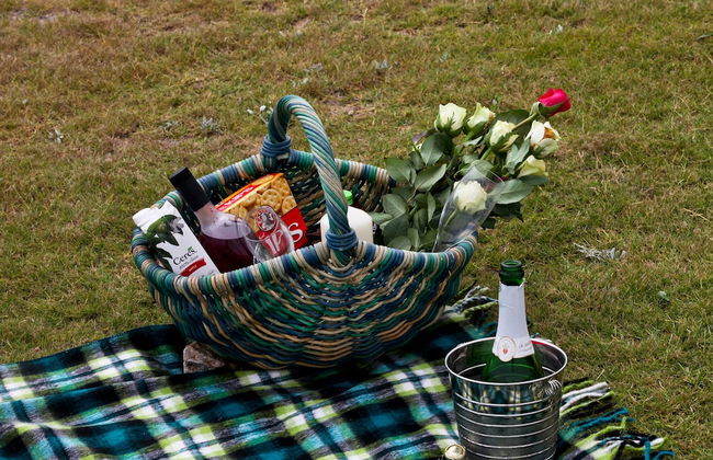 First Group Desert Rose - Photo 39