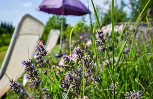 Villa in Cazals with Pool & Lake Nearby - Foto 39