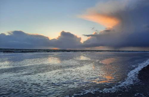 Lachmöwe by DeJu -4 Sterne DTV-Klassifizierung- - Foto 37