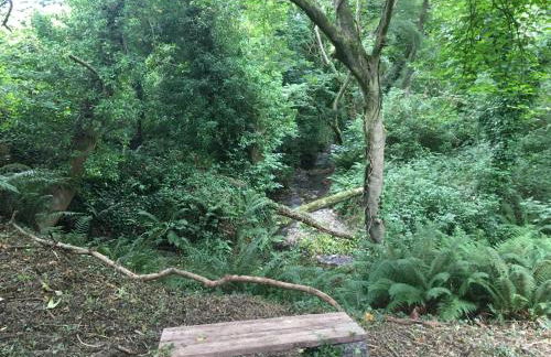 Wild Coastal Retreat at Troed Y Rhiw Aberporth, West Wales - Foto 50