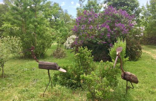 La casa di Francesco Incantevole casale di campagna with pool piscina - Foto 38