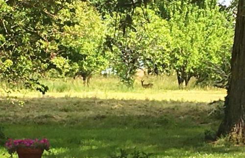 Grande maison en pierre de taille avec piscine, sauna et jacuzzi - Foto 50