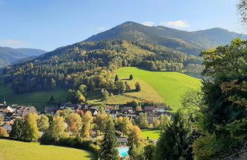 Ferienwohnung Bachklang Oberprechtal - Foto 1