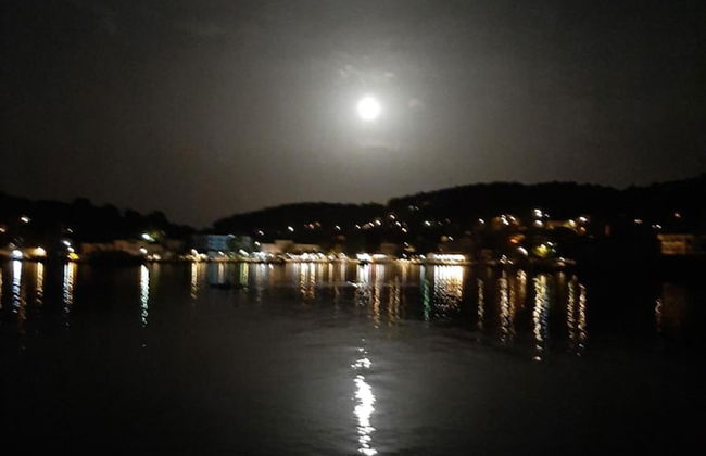 White Cloud Apartments - Photo 33