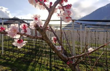 Biohof Gala - Foto 17