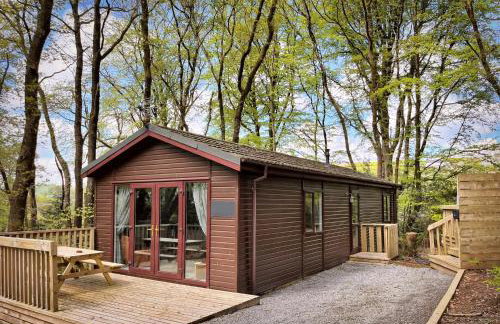 Woodland View -Hot Tub-Tenby-Carmarthen-St Clears - Foto 2