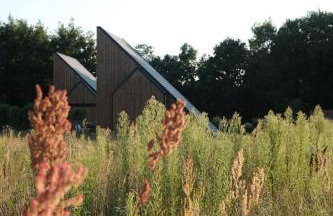 Zen Sasino - Foto 40