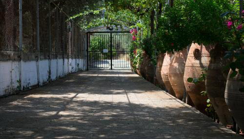 Terre Cretoise - Foto 2, Garden