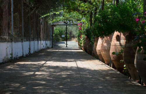 Terre Cretoise - Foto 2