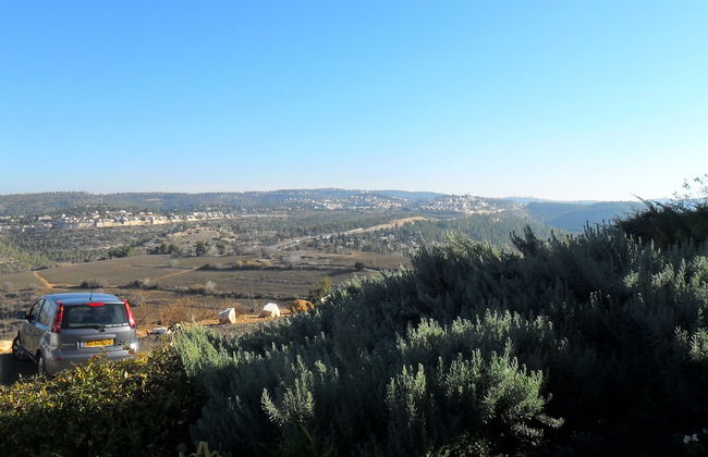 Shoresh Green Hills Family Suites Hotel - Foto 14